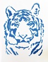 Buchner, Tobias; Tiger, Stencil. Acrylfarbe, Jg09 2014