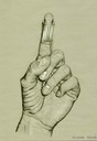 Verfremdete Hand, Claire-Obscure-Zeichnung, Elisabeth Schrank, Jg12 2009-10